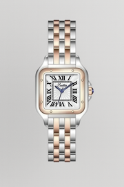 Nurozis | Two-Tone Stainless Lady Watch